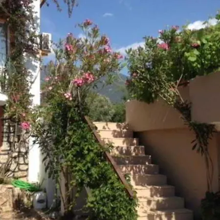 酒店 Golden Gate Oludeniz