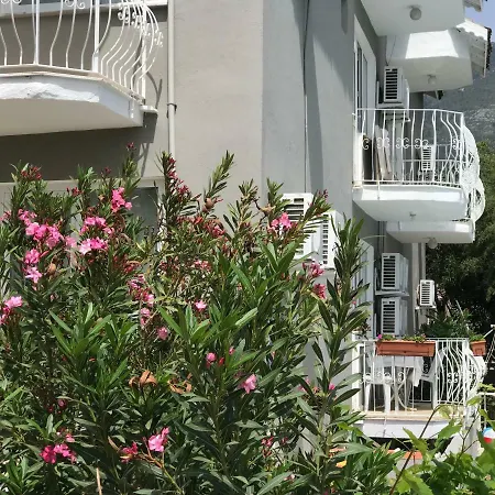 酒店 Golden Gate Oludeniz 穆拉